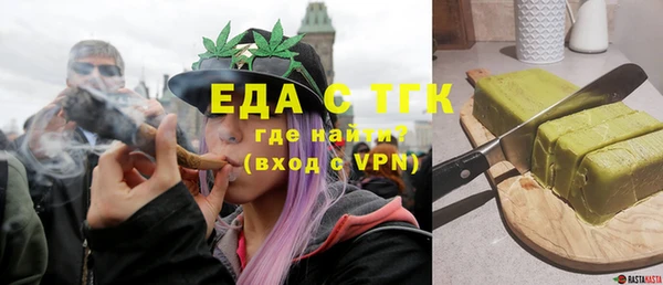индика Медвежьегорск