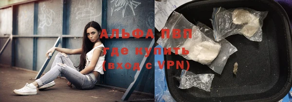 индика Медвежьегорск
