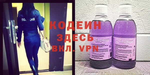 индика Медвежьегорск