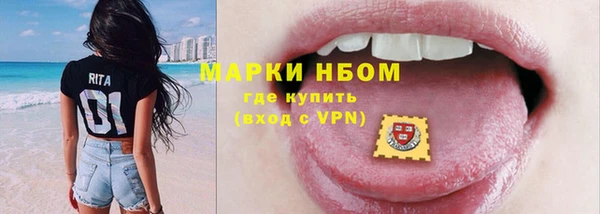 индика Медвежьегорск