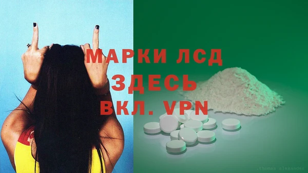 индика Медвежьегорск