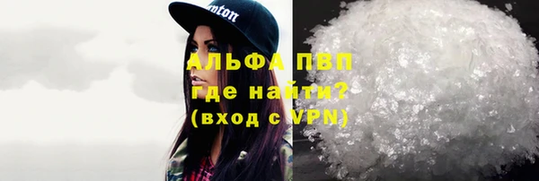 ПСИЛОЦИБИНОВЫЕ ГРИБЫ Магас