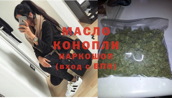 индика Медвежьегорск