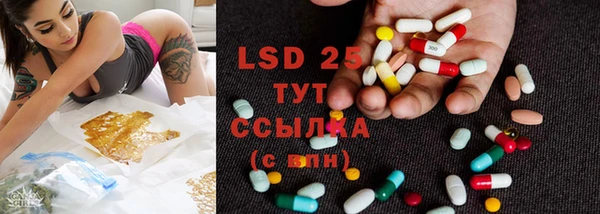 индика Медвежьегорск
