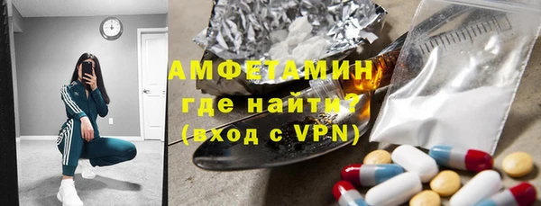 индика Медвежьегорск