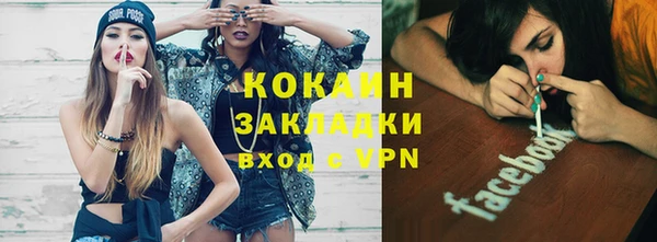 индика Медвежьегорск