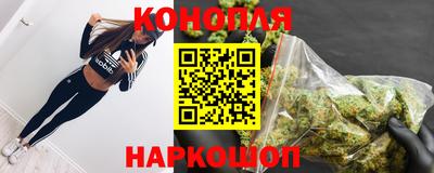 стафф Будённовск